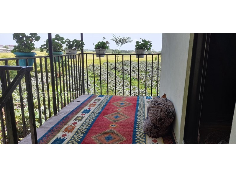 عکس شماره 808889 - اجاره خانه مبله در ماسال وشمه سرا - 