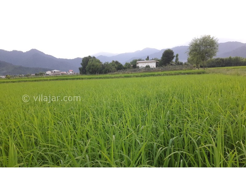 عکس شماره 808892 - اجاره خانه مبله در ماسال وشمه سرا - 