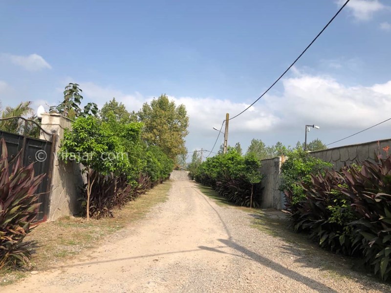 عکس شماره 809908 - اجاره ویلا در رشت پیربازار - 