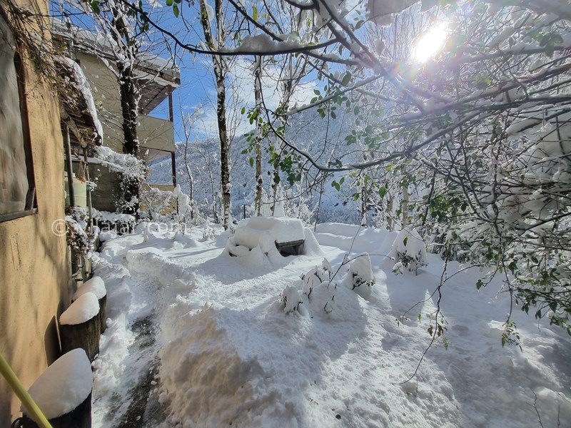 عکس شماره 811217 - اجاره خانه حیاط دار در ماسوله - 