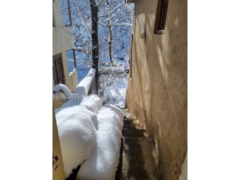 عکس شماره 811236 - اجاره خانه حیاط دار در ماسوله - 