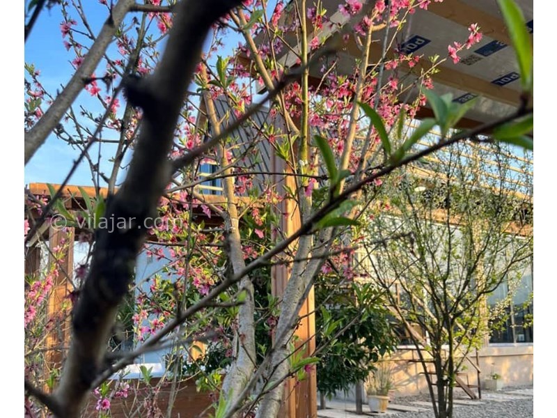 عکس شماره 811405 - کلبه چوبی با جکوزی در نور مازندران - 