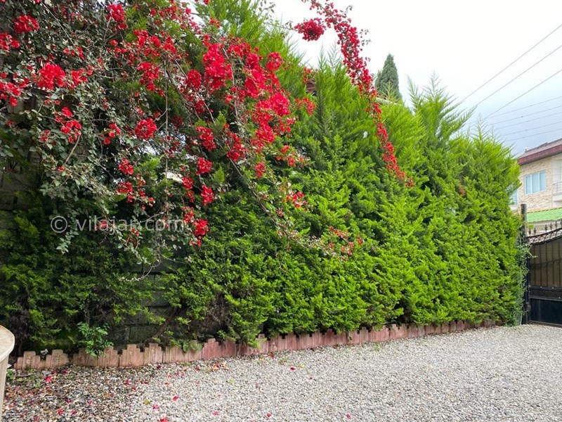 عکس شماره 812962 - اجاره ویلا در رامسر - 