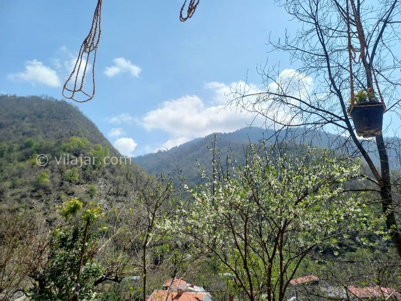 عکس شماره 813317 - اجاره ویلا چوبی در ماسال شالما - 