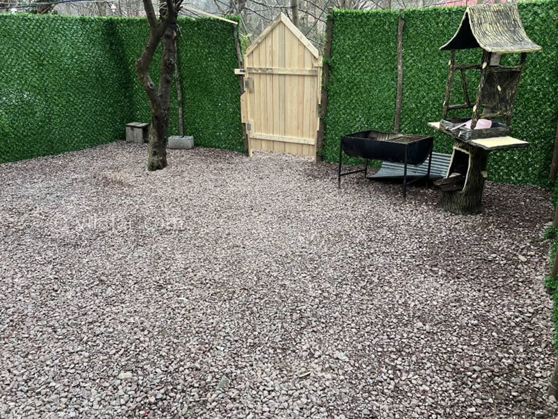 عکس شماره 813358 - اجاره کلبه سوئیسی با جکوزی ماسال - 