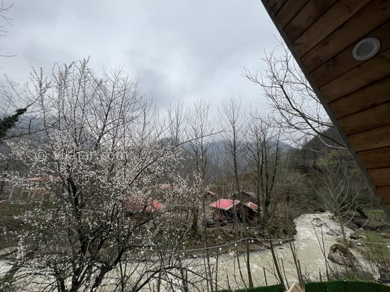 عکس شماره 813385 - اجاره کلبه سوئیسی با جکوزی ماسال - 