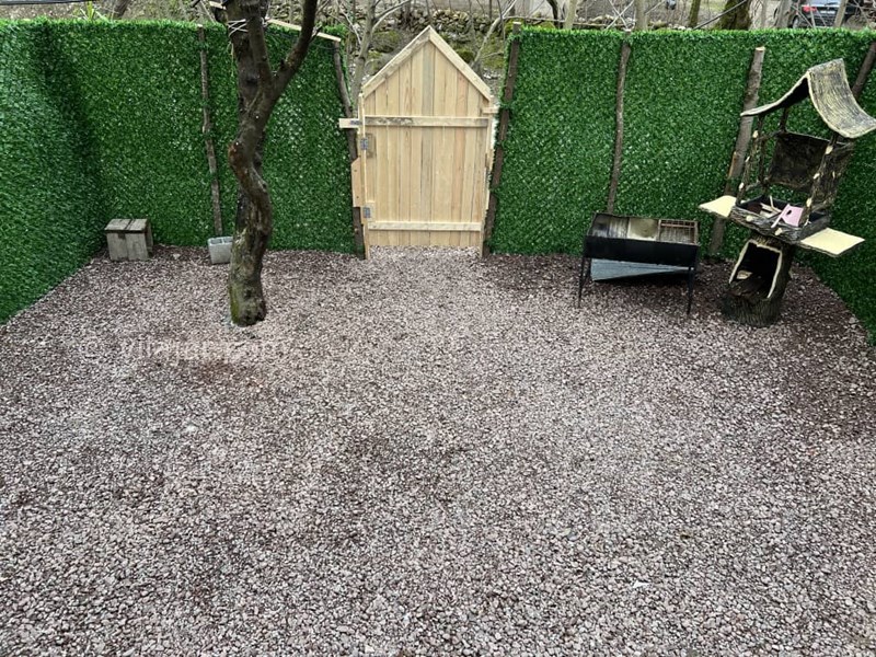 عکس شماره 813386 - اجاره کلبه سوئیسی با جکوزی ماسال - 