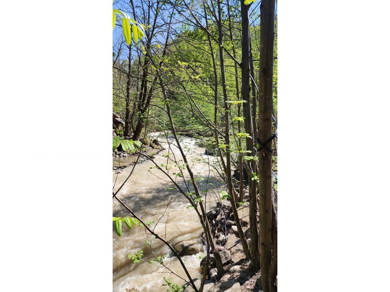 عکس شماره 813397 - اجاره کلبه سوئیسی با جکوزی ماسال - 