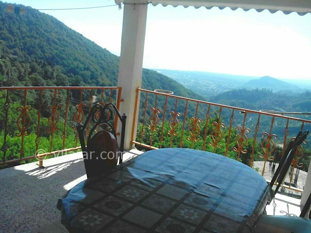 عکس شماره 81349 - اجاره ویلا جنگلی شمال - 