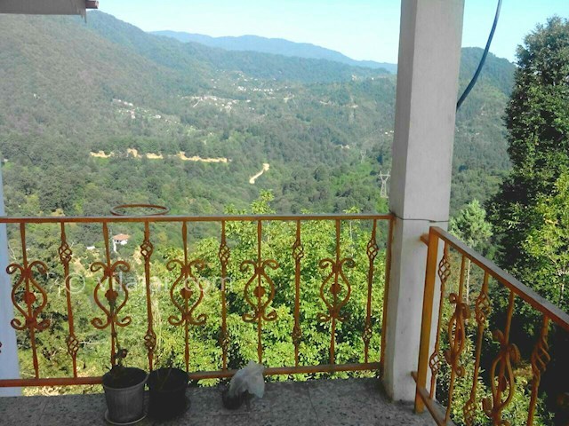 عکس شماره 81367 - اجاره ویلا جنگلی شمال - 