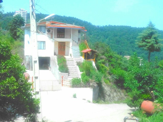 عکس شماره 81369 - اجاره ویلا جنگلی شمال - 