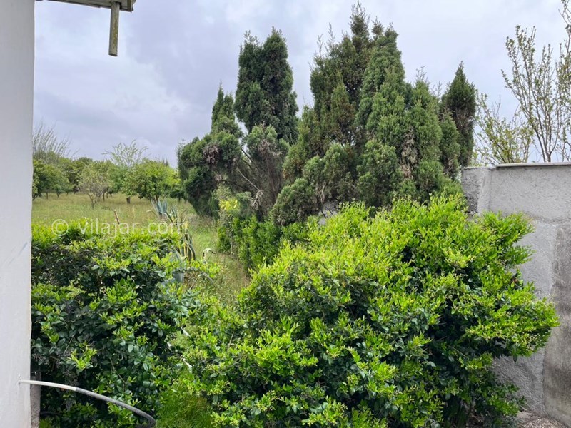 عکس شماره 813844 - ویلا باغ با استخر جکوزی محمودآباد - 