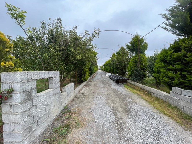 عکس شماره 813852 - ویلا باغ با استخر جکوزی محمودآباد - 