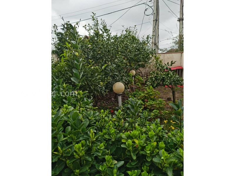 عکس شماره 813917 - اجاره ویلا در چمخاله - 