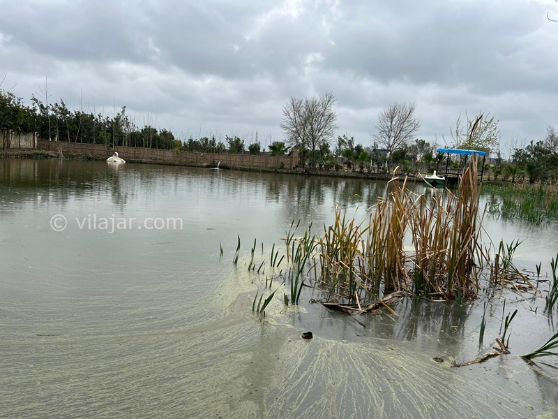 عکس شماره 814060 - رزرو ویلا استخردار با برکه آب - برکه