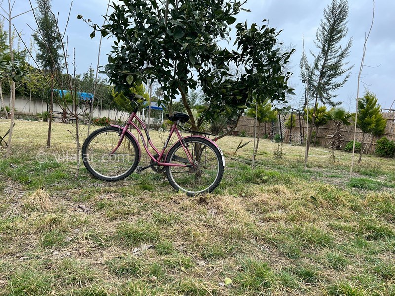 عکس شماره 814076 - رزرو ویلا استخردار با برکه آب -