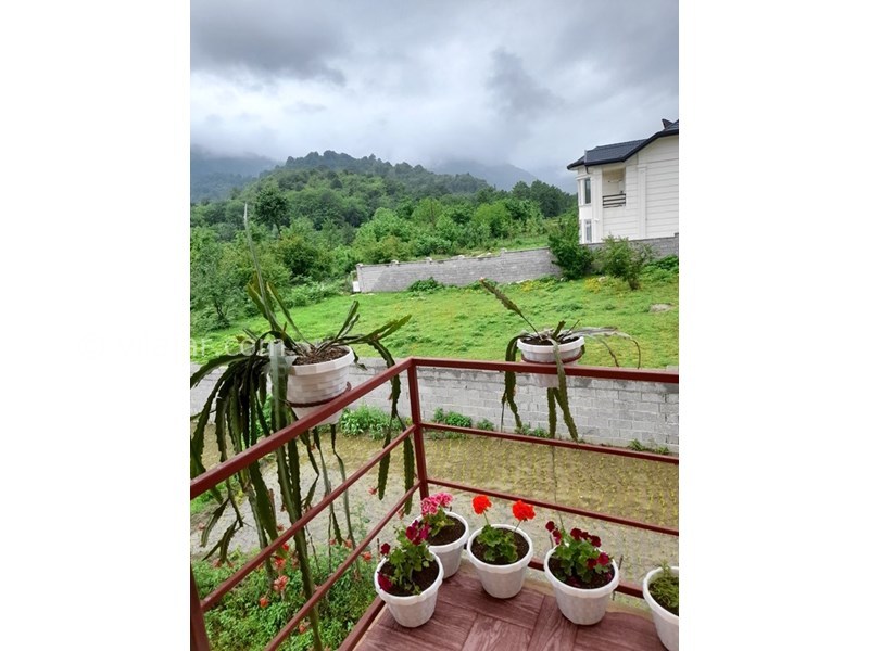 عکس شماره 814168 - اجاره ویلا چوبی در ماسال - 