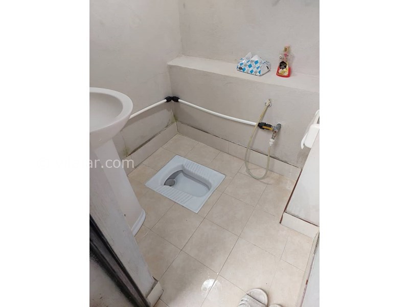 عکس شماره 814714 - اجاره ویلا جنگلی ییلاقی آستارا - 