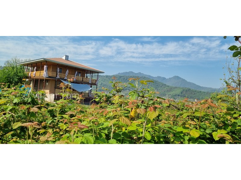 عکس شماره 814859 - اجاره ویلا جنگلی در ماسال - تصویراصلی