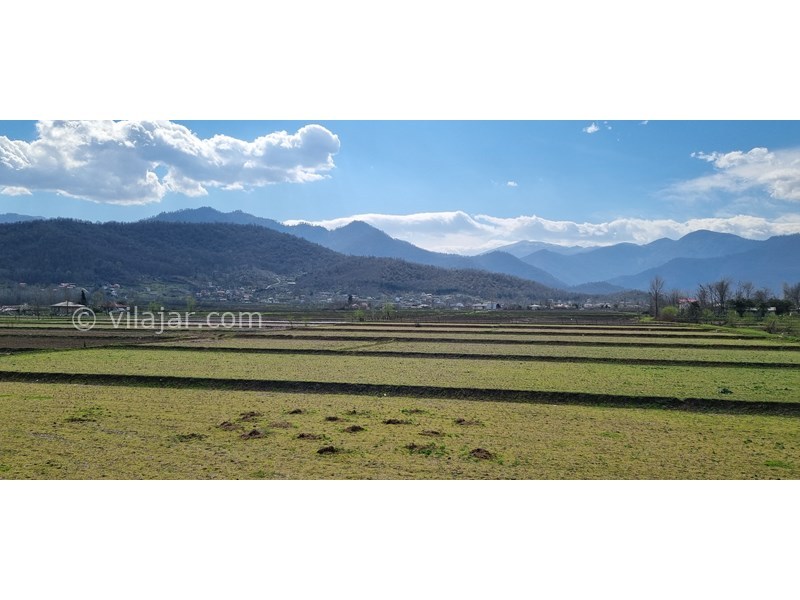 عکس شماره 814876 - اجاره ویلا جنگلی در ماسال - ویوی کناراقامتگاه(زمین شالی تاجنگل های هیرکانی)