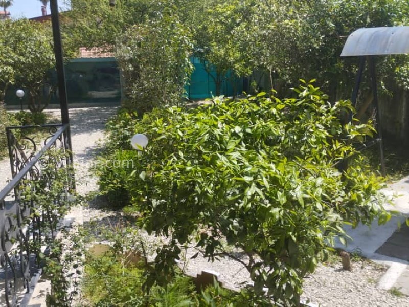 عکس شماره 814968 - ویلا استخردار روبروی نمک آبرود - 