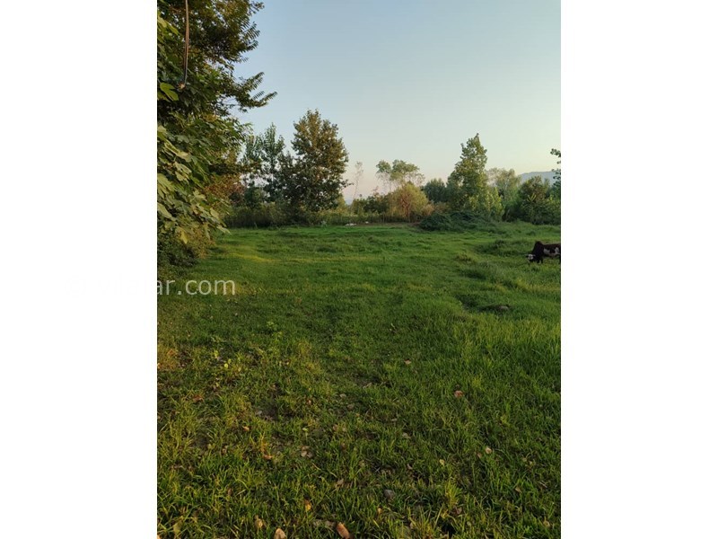 عکس شماره 815095 - اجاره ویلا جنگل سراوان رشت - 