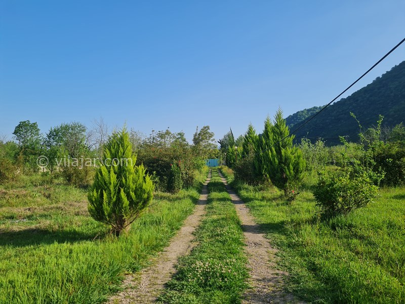 عکس شماره 815215 - اجاره ویلا جنگلی در ماسال - باغ