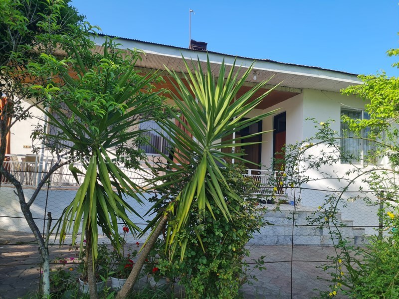 عکس شماره 815256 - اجاره ویلا جنگلی در ماسال - نمای بیرون