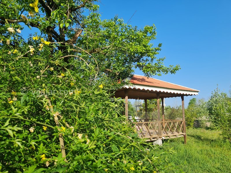 عکس شماره 815257 - اجاره ویلا جنگلی در ماسال - آلاچیق