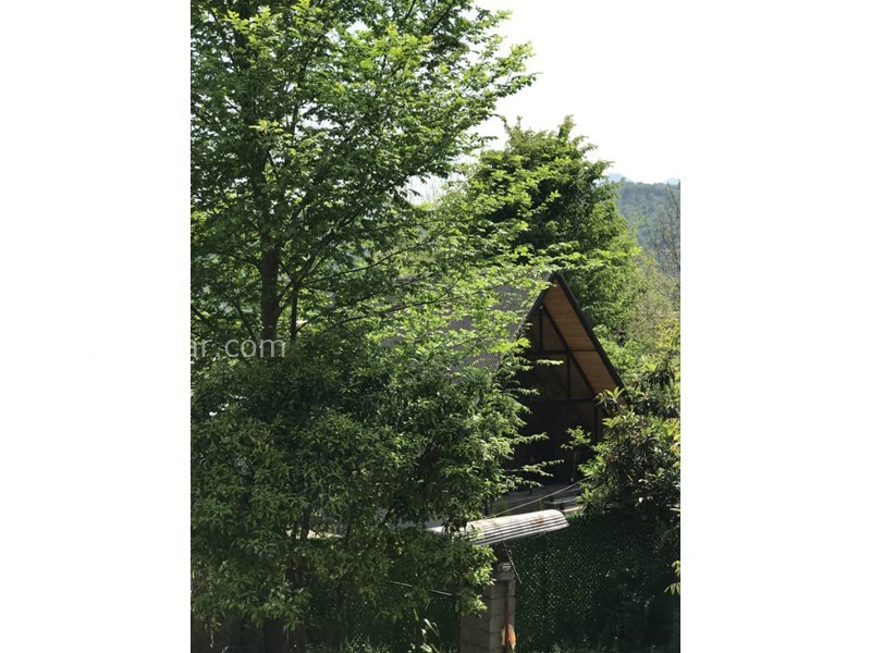 عکس شماره 815341 - اجاره کلبه سوییسی چوبی ماسال -