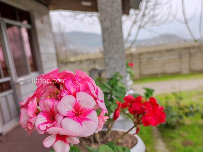 عکس شماره 815944 - اجاره ویلا جنگلی در ماسال -