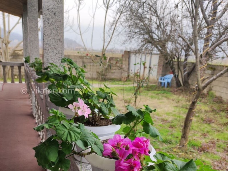 عکس شماره 815945 - اجاره ویلا جنگلی در ماسال -