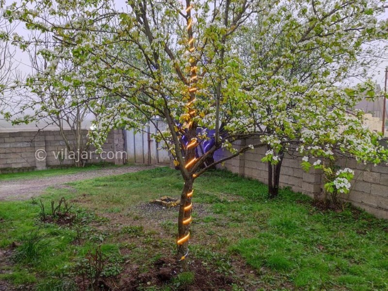 عکس شماره 815948 - اجاره ویلا جنگلی در ماسال -