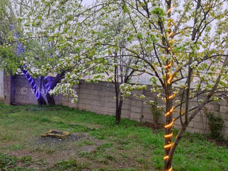 عکس شماره 815953 - اجاره ویلا جنگلی در ماسال -