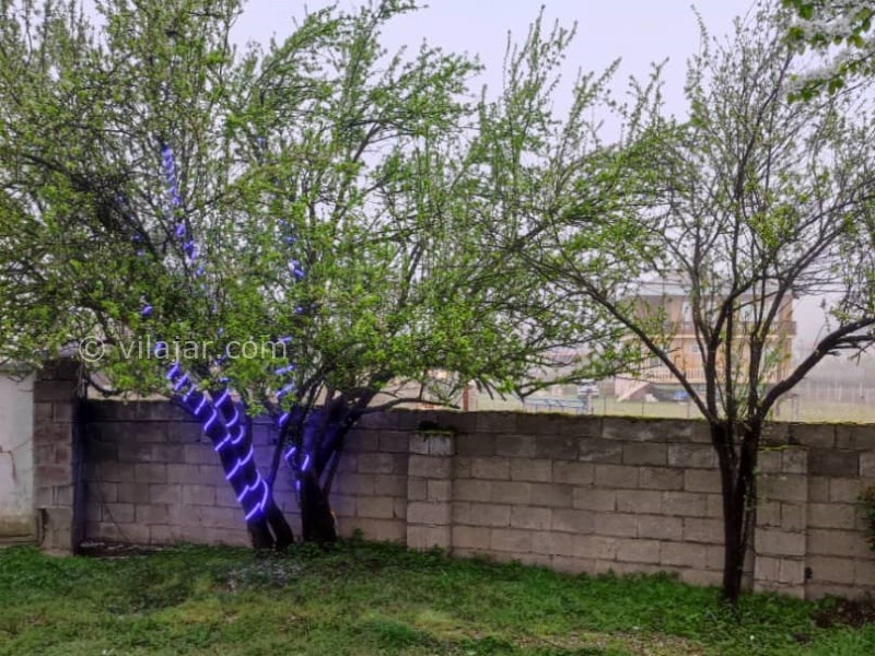 عکس شماره 815954 - اجاره ویلا جنگلی در ماسال -