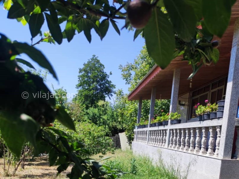 عکس شماره 815956 - اجاره ویلا جنگلی در ماسال -