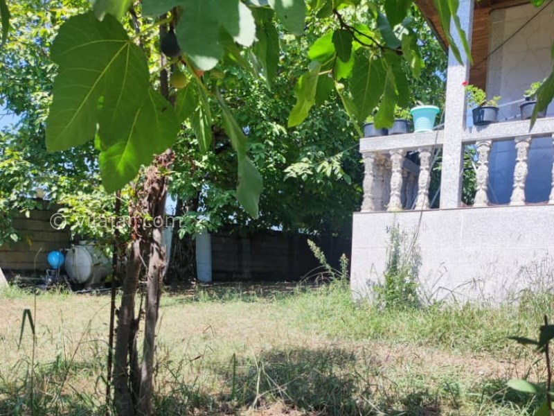 عکس شماره 815957 - اجاره ویلا جنگلی در ماسال -