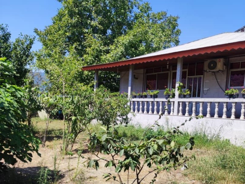 عکس شماره 815964 - اجاره ویلا جنگلی در ماسال -