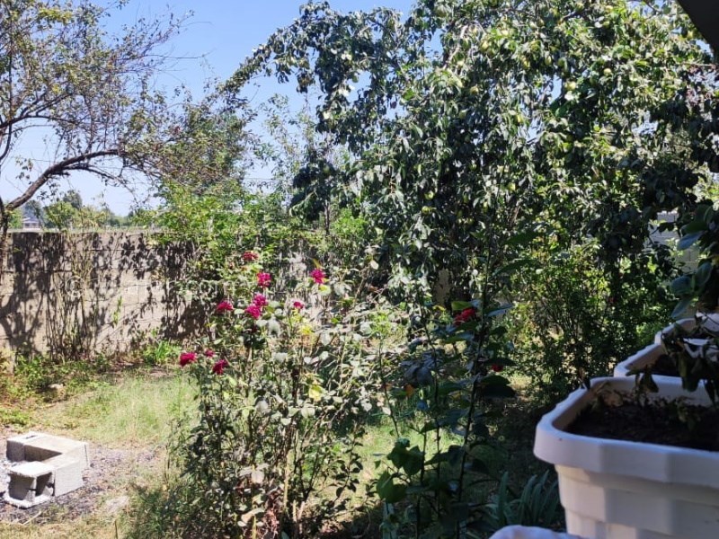 عکس شماره 815970 - اجاره ویلا جنگلی در ماسال -