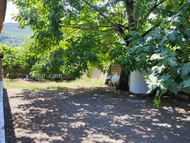 عکس شماره 815978 - اجاره ویلا جنگلی در ماسال -