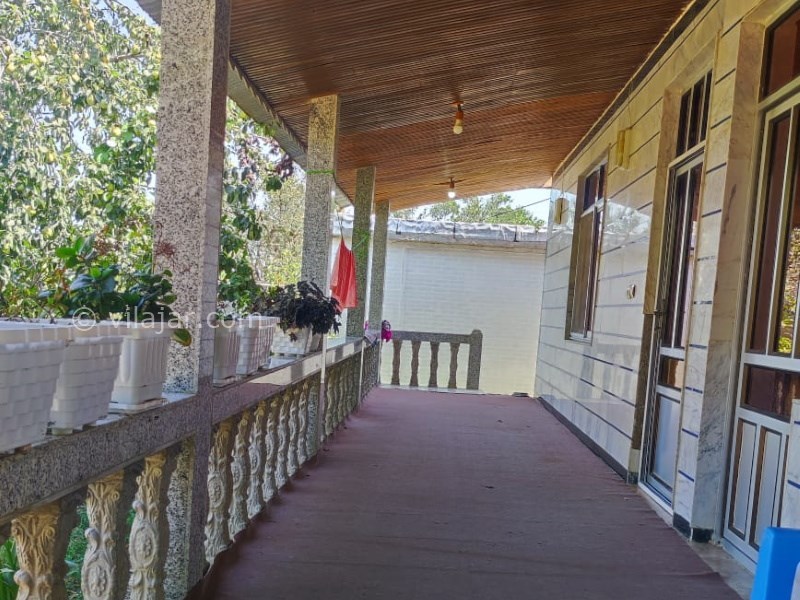 عکس شماره 815979 - اجاره ویلا جنگلی در ماسال -