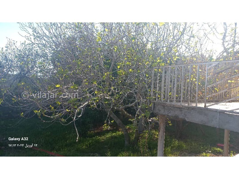 عکس شماره 816102 - اجاره اقامتگاه جنگلی در منجیل - 