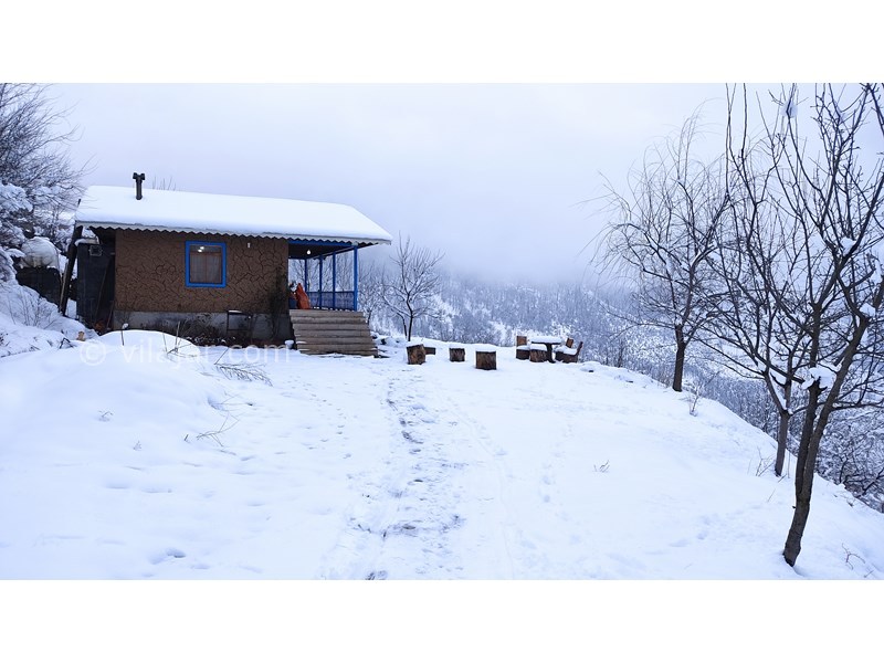 عکس شماره 816501 - اجاره ویلا سنتی جنگلی ییلاق تالش - 