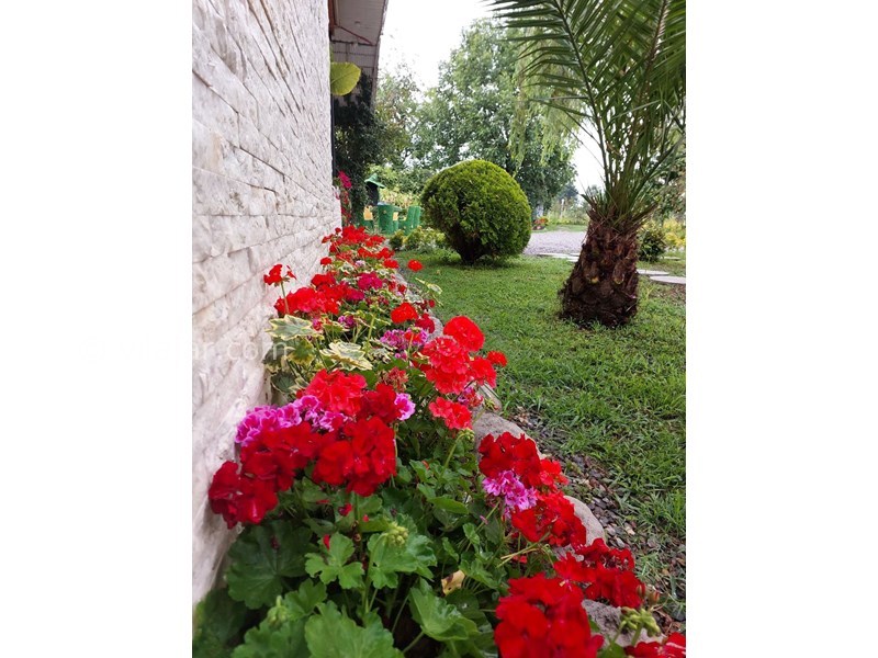 عکس شماره 816884 - ویلا باغ آرامش وشمه سرا ماسال - 