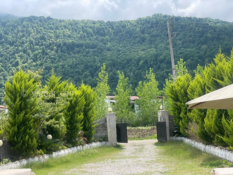 عکس شماره 817419 - اجاره ویلا جنگلی در نوشهر مزگاه - 