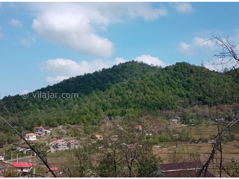 عکس شماره 817471 - اقامتگاه جنگلی در ماسال ورمیه - 