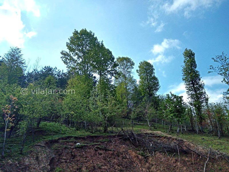 عکس شماره 817489 - اقامتگاه جنگلی در ماسال ورمیه - 