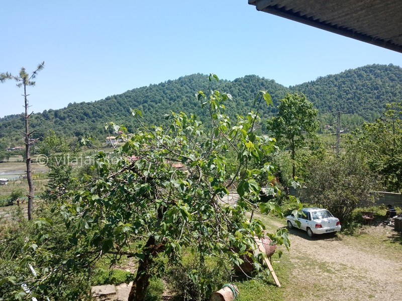 عکس شماره 817490 - اقامتگاه جنگلی در ماسال ورمیه - 