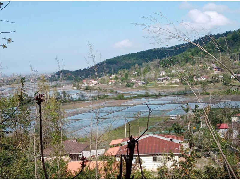 عکس شماره 817492 - اقامتگاه جنگلی در ماسال ورمیه - 