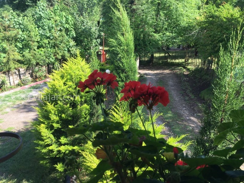 عکس شماره 817534 - اجاره ویلا چوبی جنگلی ماسال - 